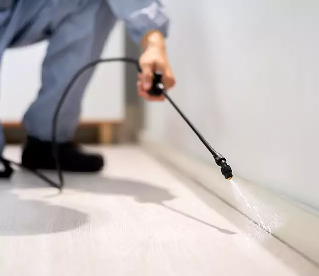 About Our Liquid Termite Treatment Experts in Sterling, VA