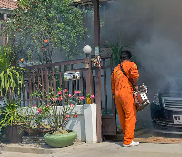 Your Proven Mosquito Fogging Company in Sterling, VA
