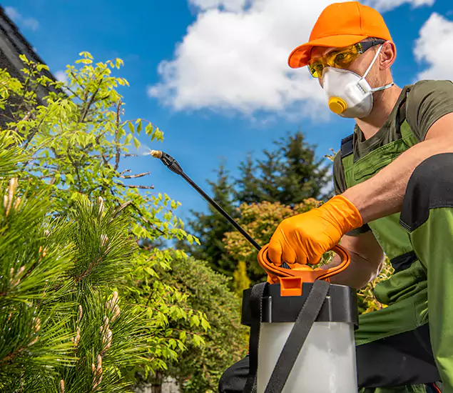 Your Best Bug Spray for Home Team in Sterling, VA