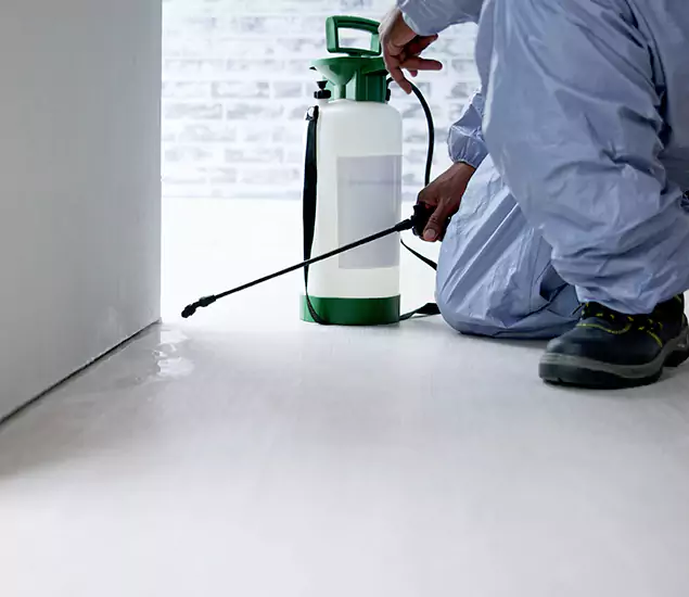 Affordable Pest Control Experts in Sterling, VA