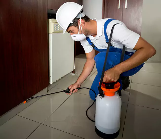 Advanced Termite Pre Treatment Experts in Sterling, VA