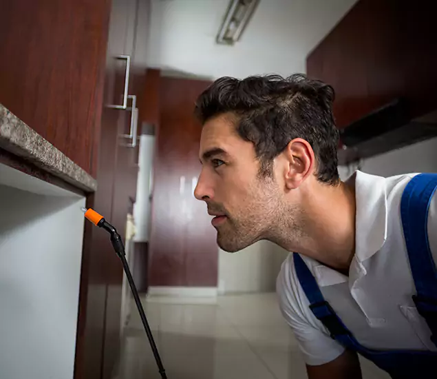 Expert Rodent in Attic Removal: Your Proven Pest Specialists in Sterling, VA