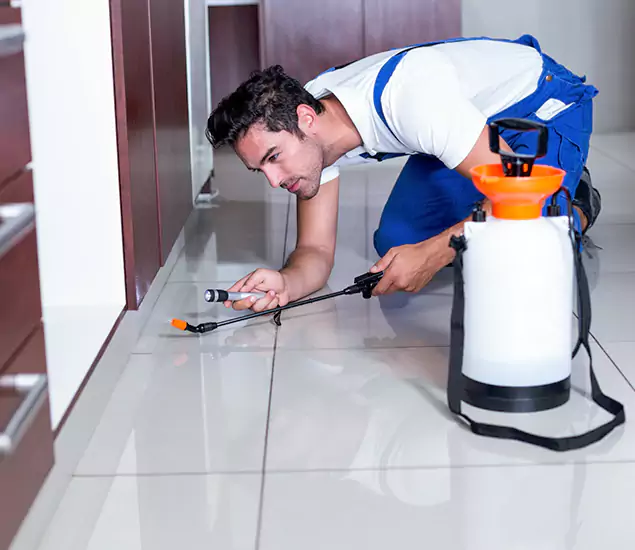 Advanced Slab Termite Treatment Experts You Can Trust&nbsp;in Sterling, VA