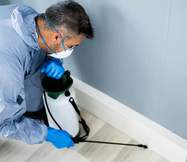 Reliable Termite Cost Experts in Sterling, VA
