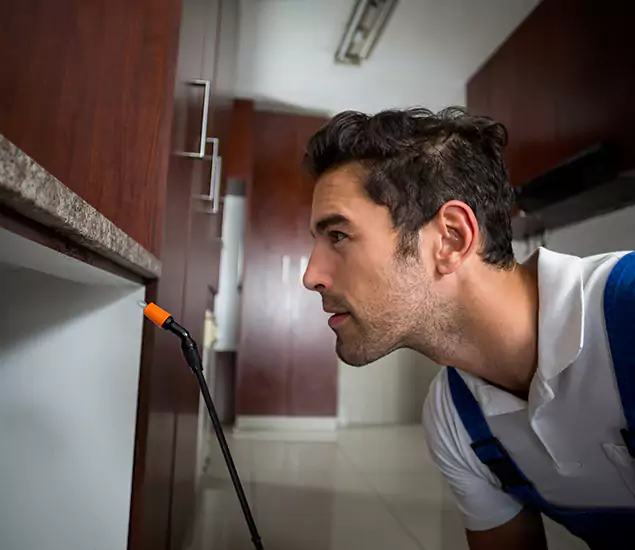 Termite Inspection Cost Experts You Can Trust in Sterling, VA