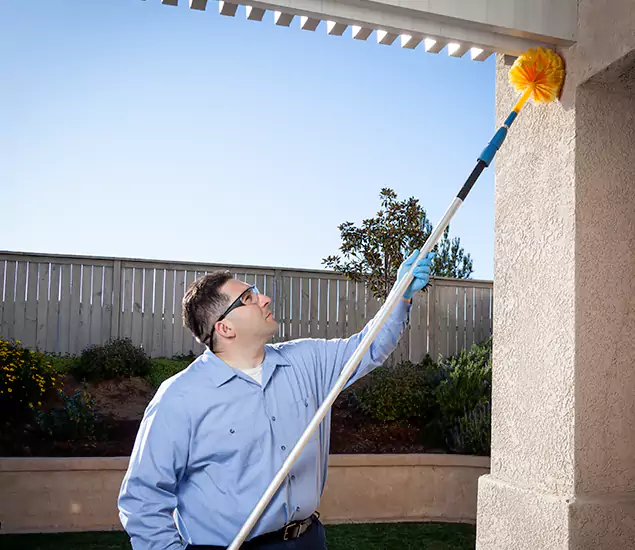 Your Trusted Wasp Removal Company in Sterling, VA