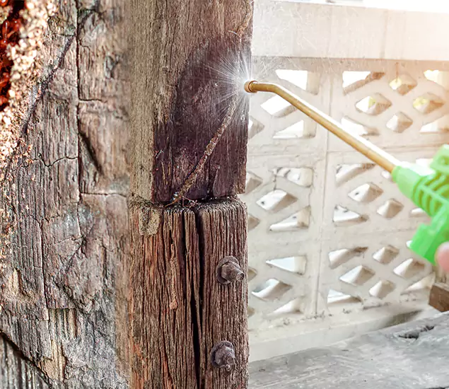 About Wood Termite Treatment Services in Sterling, VA