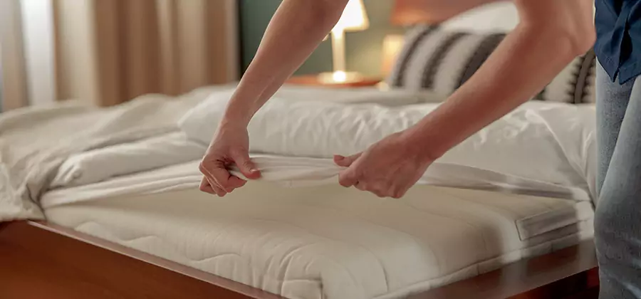 Bed Bug Extermination Services in Sterling