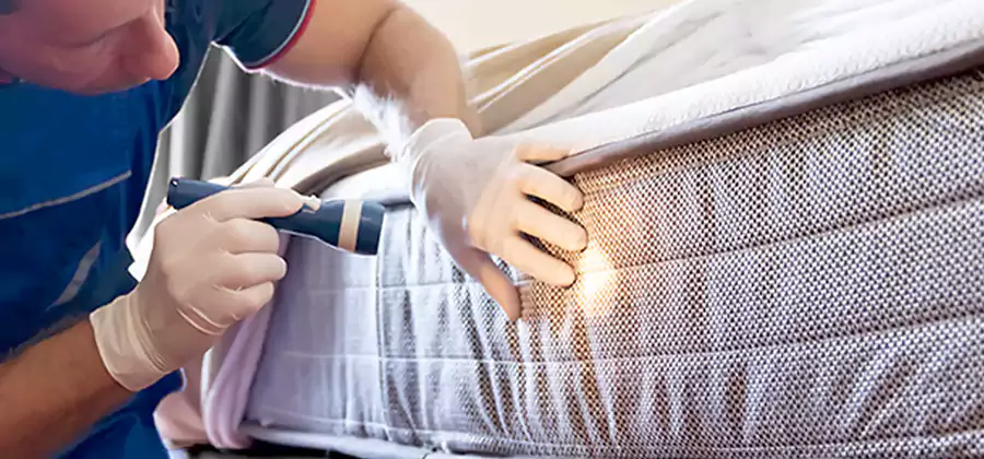 Residential Bed Bug Treatment Cost in Sterling