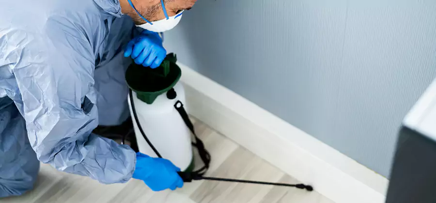 Fumigate Apartment Roaches in Sterling