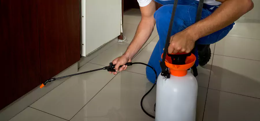 Indoor Mosquito Treatment in Sterling