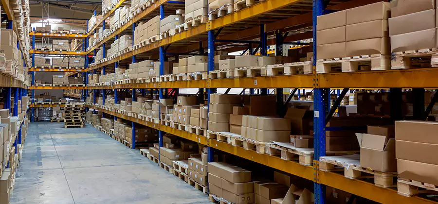 Warehouse Pest Control in Sterling