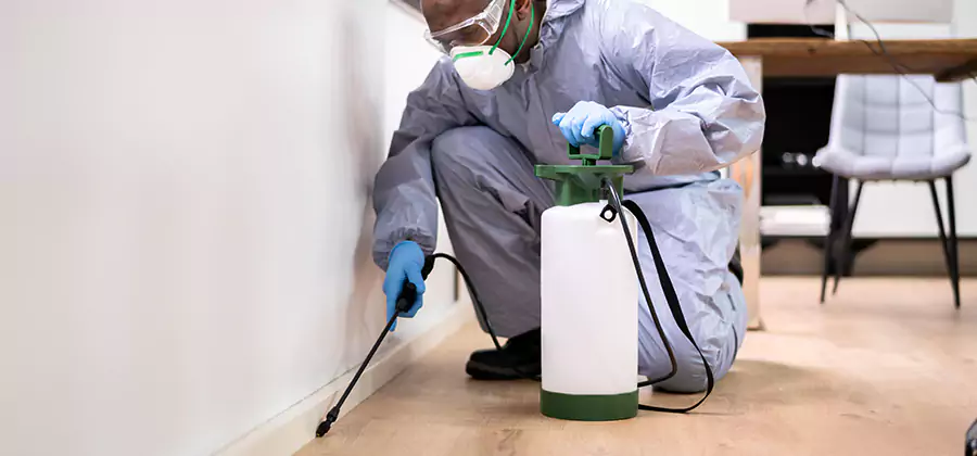 Long Lasting Mosquito Treatment in Sterling