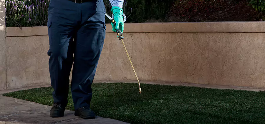 Soil Treatment for New Construction Termites in Sterling