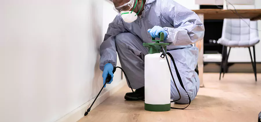 No Tent Termite Extermination With Electric Tool in Sterling
