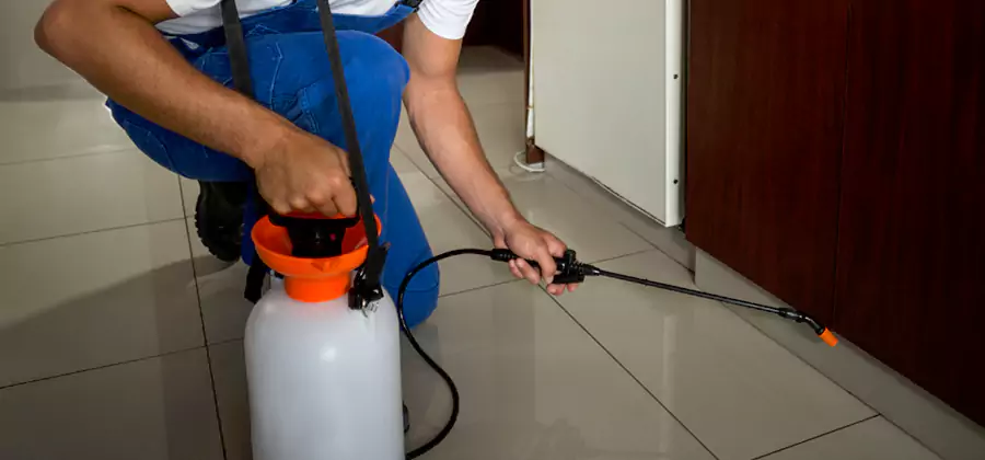 One Time Termite Control in Sterling