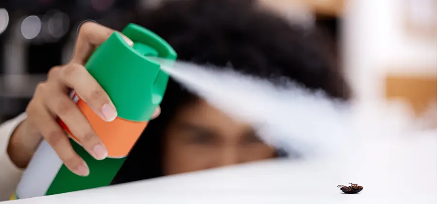 Child Safe Bed Bug Treatment in Sterling