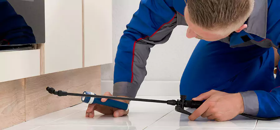 Moisture Treatment For Termite Control Service in Sterling