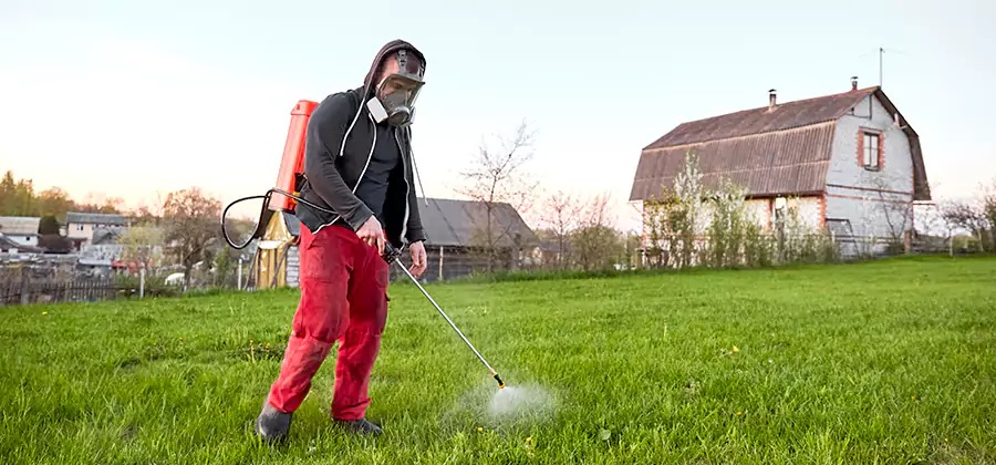 Flea and Tick Pest Control in Sterling