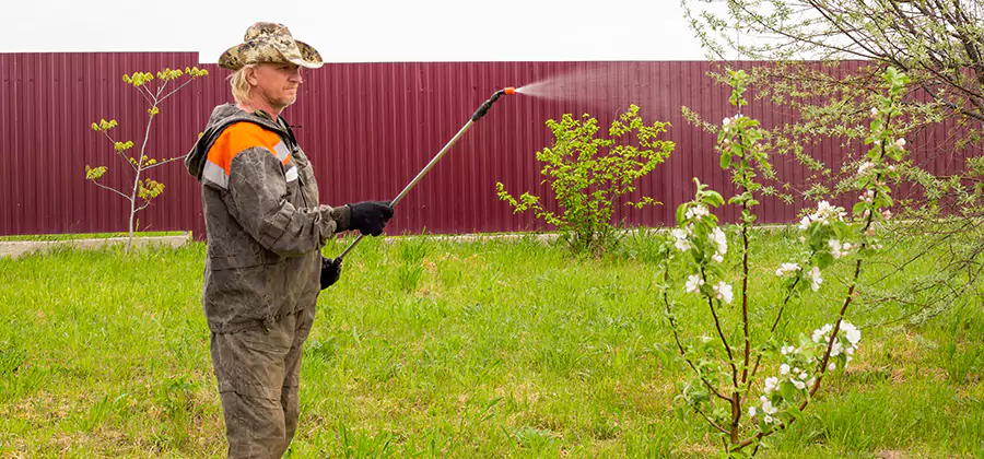 Flea and Tick Spray for Yard in Sterling