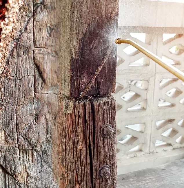 Why Choose Sterling Pest Control Pro for Attic Termite Treatment in Sterling, VA?
