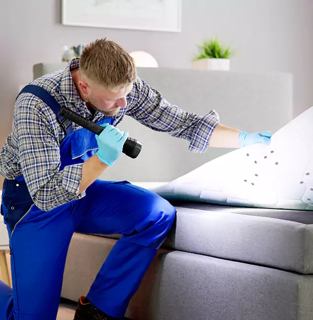 Why Choose Sterling Pest Control Pro for Bed Bug Exterminator Cost in Sterling, VA?