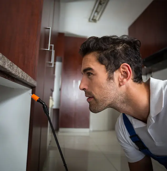 Why Choose Sterling Pest Control Pro for Bed Bug Removal Cost in Sterling, VA?