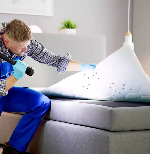 Why Choose Sterling Pest Control Pro in Sterling, VA?