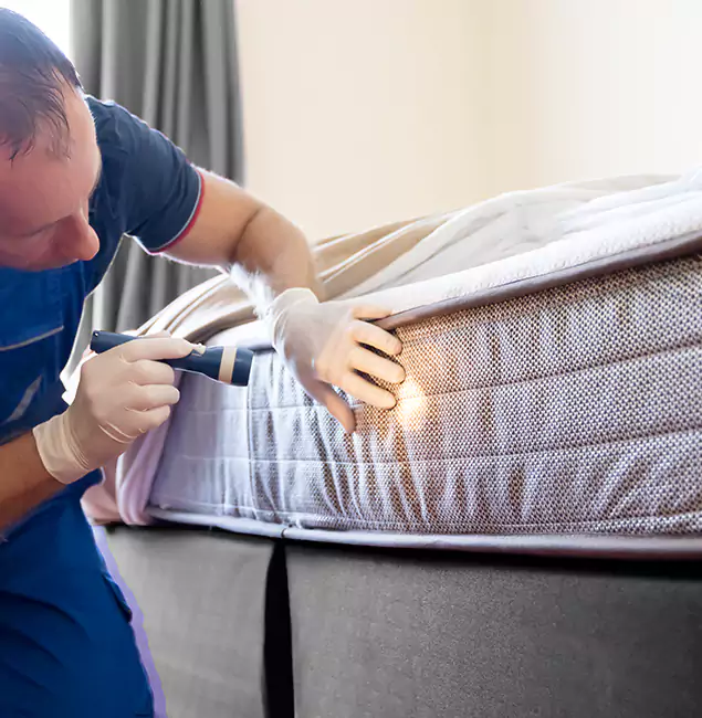 Why Choose Sterling Pest Control Pro for Bed Bug Services in Sterling, VA?
