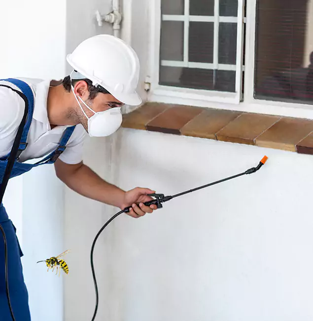 Why Sterling Property Owners Choose Sterling Pest Control Pro for Bee Nest Removal?
