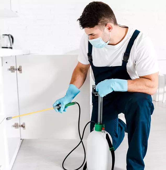Why Choose Sterling Pest Control Pro for Emergency Pest Control in Sterling?