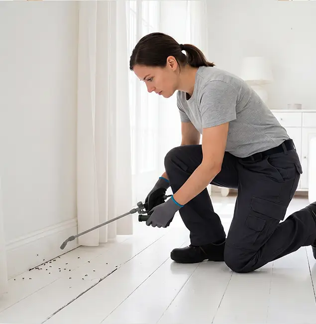 Why Sterling, VA Property Owners Trust Sterling Pest Control Pro for Fire Ant Control?