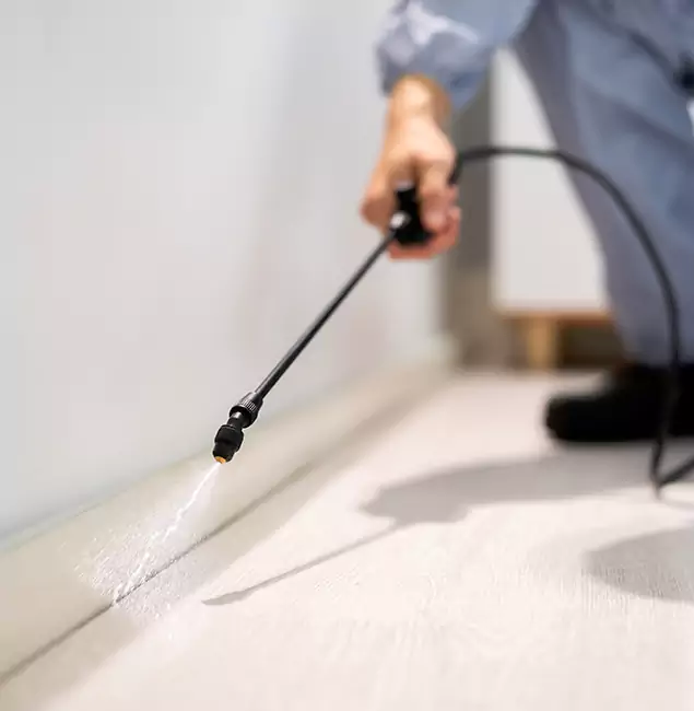 Why Choose Sterling Pest Control Pro for Termite Treatment in Sterling, VA?