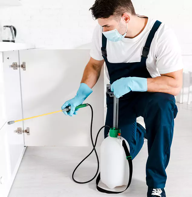 Why Sterling, VA Homeowners Trust Us for German Roach Control?