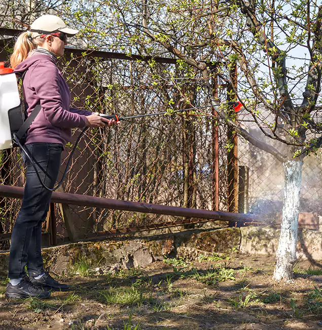 Why Sterling Homeowners Choose Sterling Pest Control Pro for Mosquito Abatement?