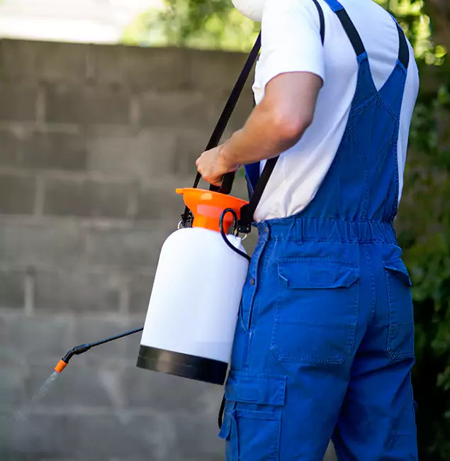 Why Sterling Homeowners Rely on Sterling Pest Control Pro for Mosquito Control?