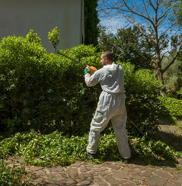 Why Sterling Pest Control Pro Leads Mosquito Control in Sterling, VA?