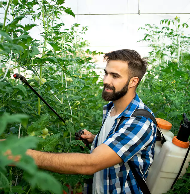Why Sterling Homeowners Choose Sterling Pest Control Pro for Mosquito Spraying?