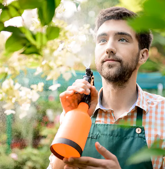 Why Sterling Homeowners Call Sterling Pest Control Pro for Mosquitoes in House?