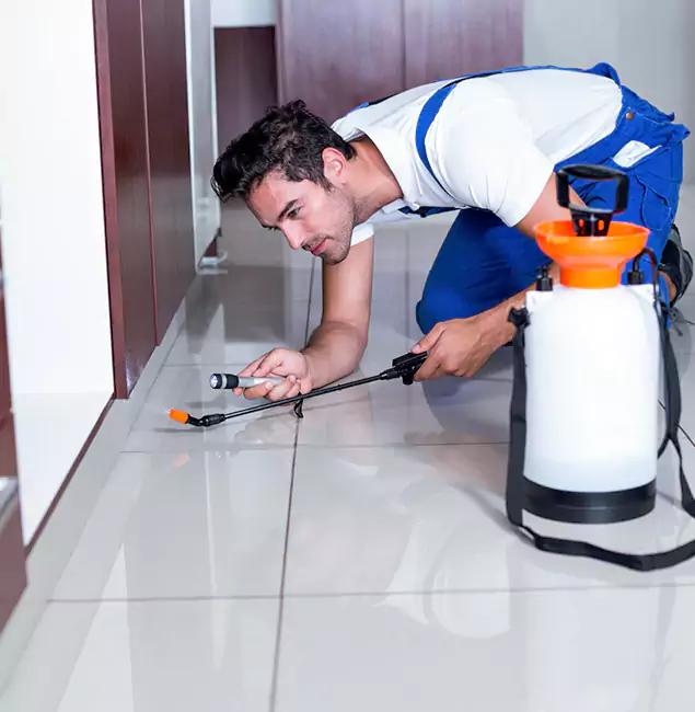Why Sterling Pest Control Pro Is the Proven Choice in Sterling, VA?