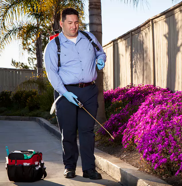 Why Choose Sterling Pest Control Pro in Sterling, VA?