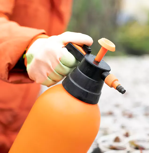 Why Choose Sterling Pest Control Pro for Orange Termite Treatment in Sterling, VA?