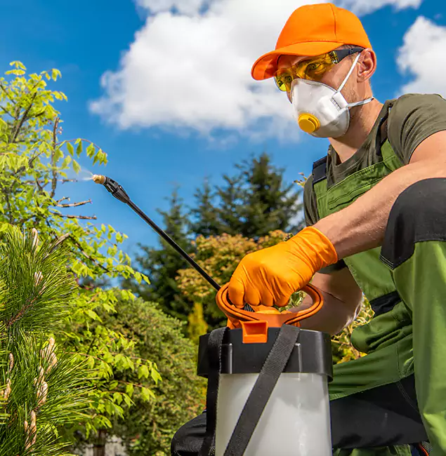 Why Choose Sterling Pest Control Pro for Outdoor Pest Control in Sterling, VA?