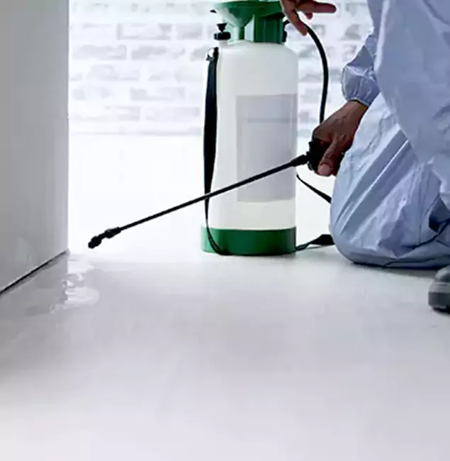 Why Choose Sterling Pest Control Pro for Rat Exterminator in Sterling, VA?