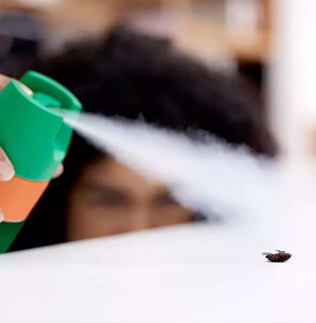 Why Sterling, VA Homeowners Choose Sterling Pest Control Pro for Roach Pest Control?