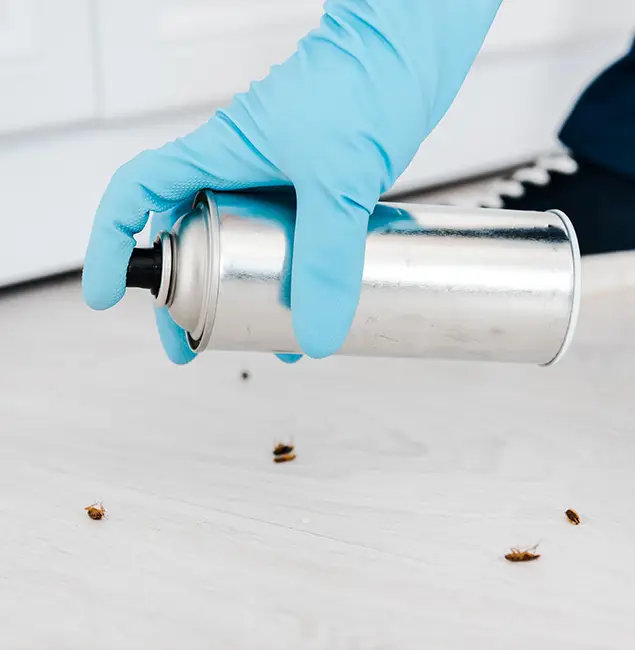 Why Choose Sterling Pest Control Pro for Safe Bed Bug Treatment in Sterling, VA?