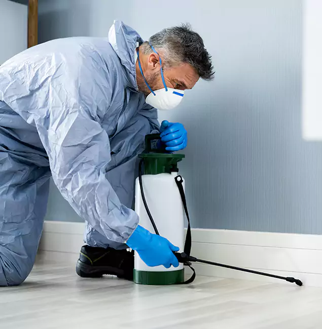 Why Choose Sterling Pest Control Pro for Subterranean Termites Treatment in Sterling, VA?