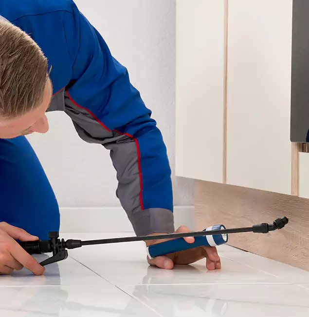 Why Sterling Residents Choose Sterling Pest Control Pro to Get Rid of Sugar Ants?