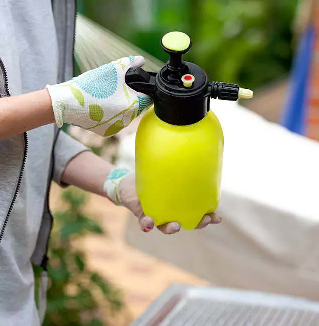 Why Choose Us: Sterling Pest Control Pro Termite Spraying Experts in Sterling, VA?
