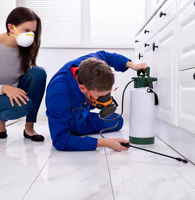 Why Choose Wood Termite Treatment by Sterling Pest Control Pro in Sterling, VA?
